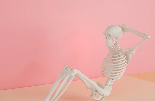 White skeleton model set in a sit-up pose on a pastel pink background.